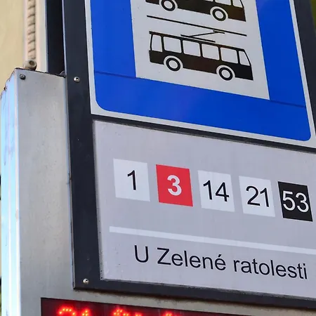 Zelena Ratolest Gæstehus